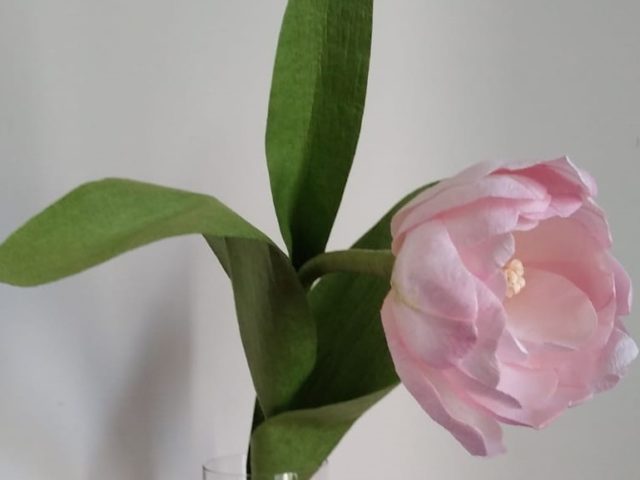 Fiori in Atelier – Il tulipano doppio con Rosanna Frapporti